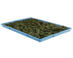 Metro WavDri Cannabis Drying Tray - DT1826-P