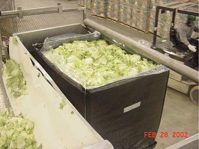 semi bulk containers